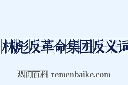林彪反革命集团反义词是什么意思的图片